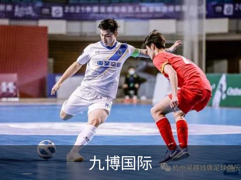 九博国际简介